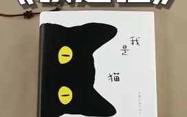 解读《我是猫》哔哩哔哩bilibili