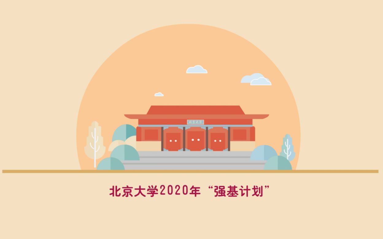 北京大学强基计划动画解读哔哩哔哩bilibili