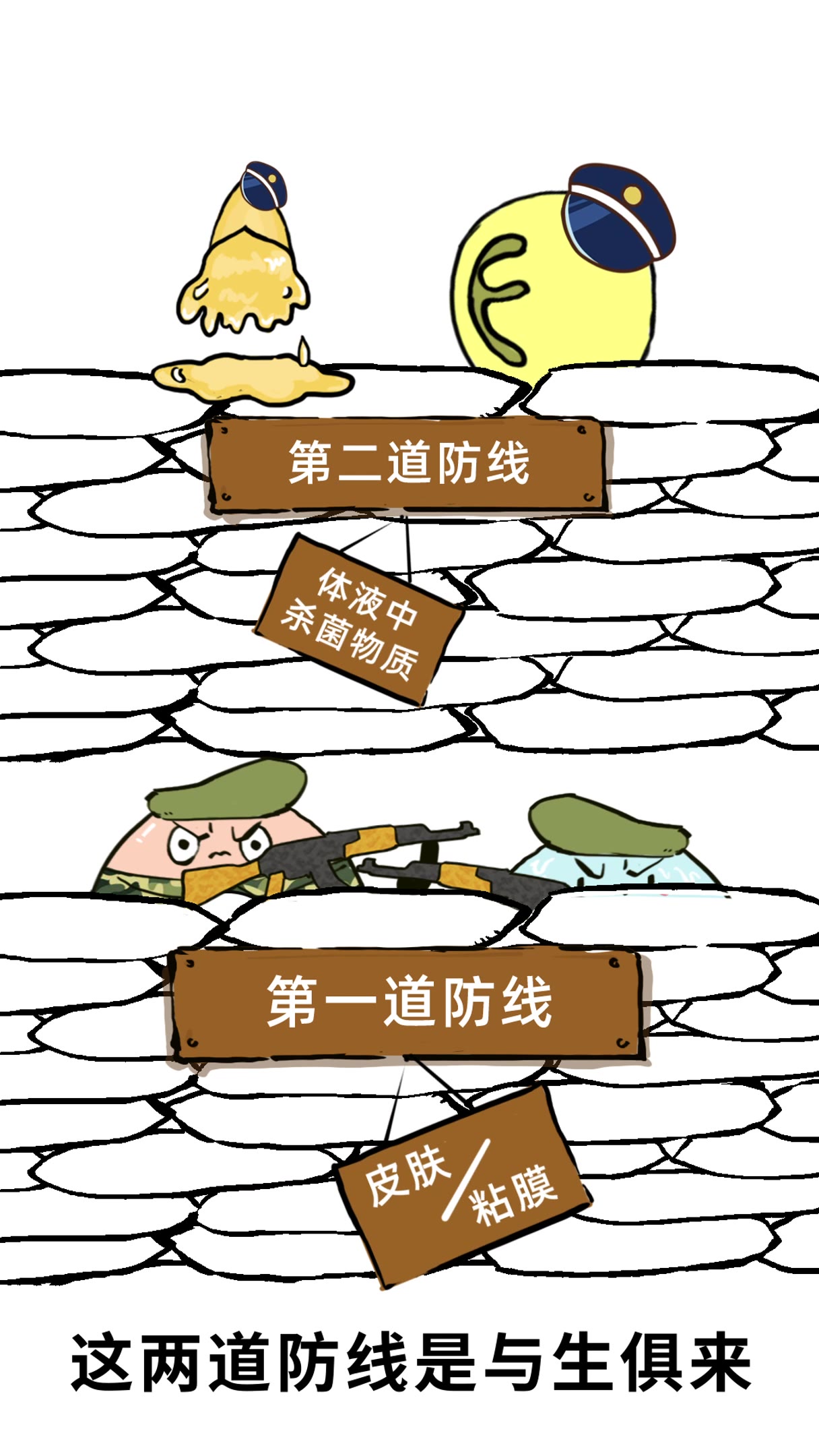 【道远生物】人体三道免疫防线是什么?你知道吗?