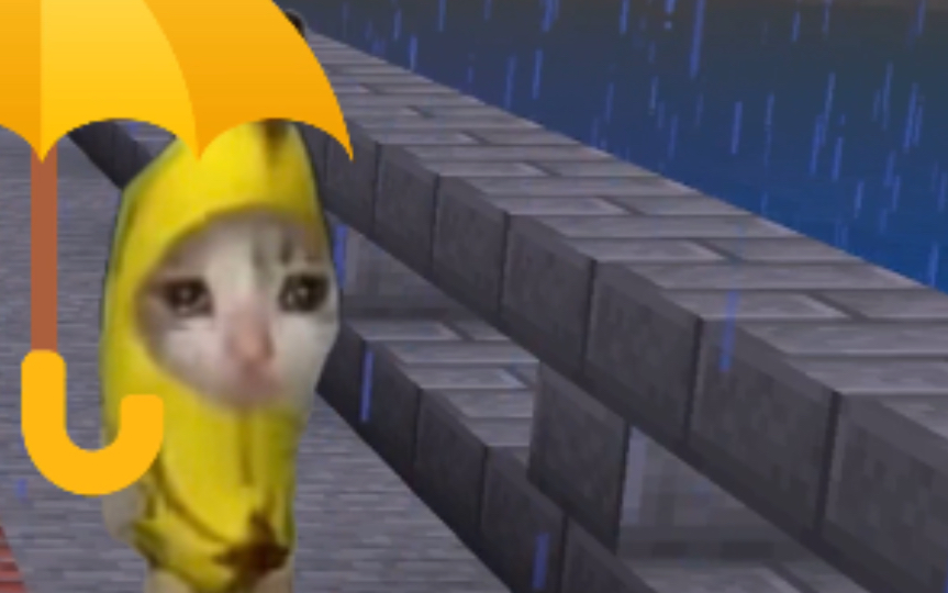 长大后的猫咪在爆雨中失去保护伞也不会哭泣-猫喵meme日常-猫喵meme日常-哔哩哔哩视频