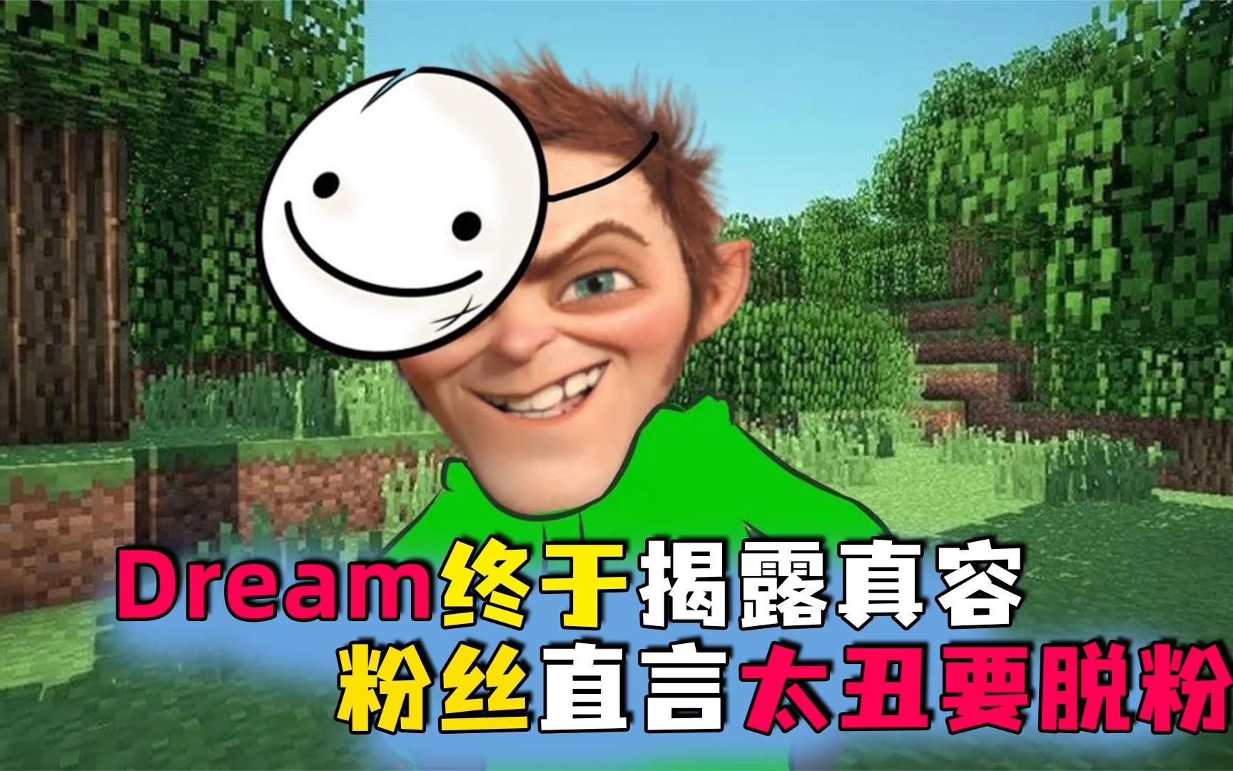 Dream真的露脸后,粉丝直言太丑要脱粉?