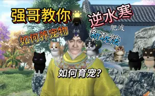 Download Video: 逆水寒如何育宠？培养宠物？