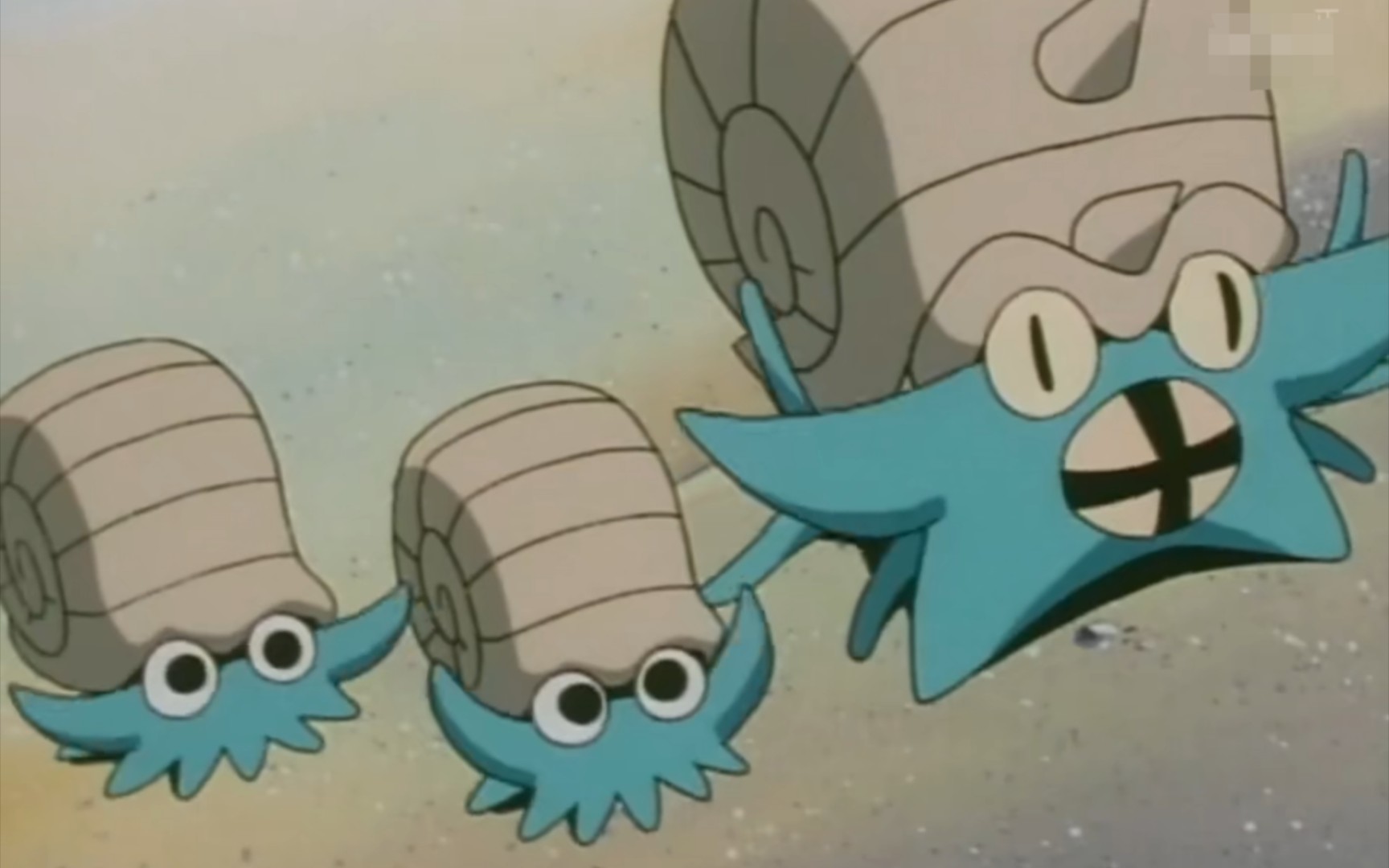 菲鱼前代闪精灵宝可梦叶绿闪光菊石兽