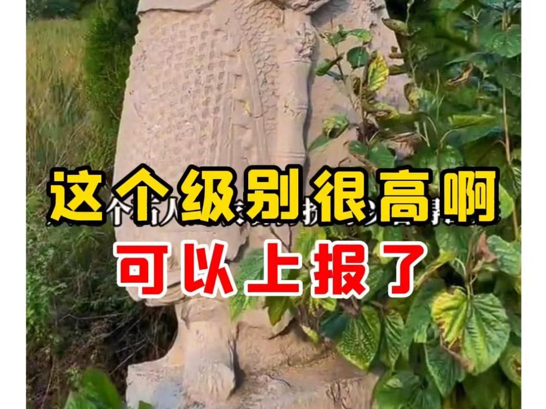 【微拍堂】这个级别很高啊,可以上报了哔哩哔哩bilibili