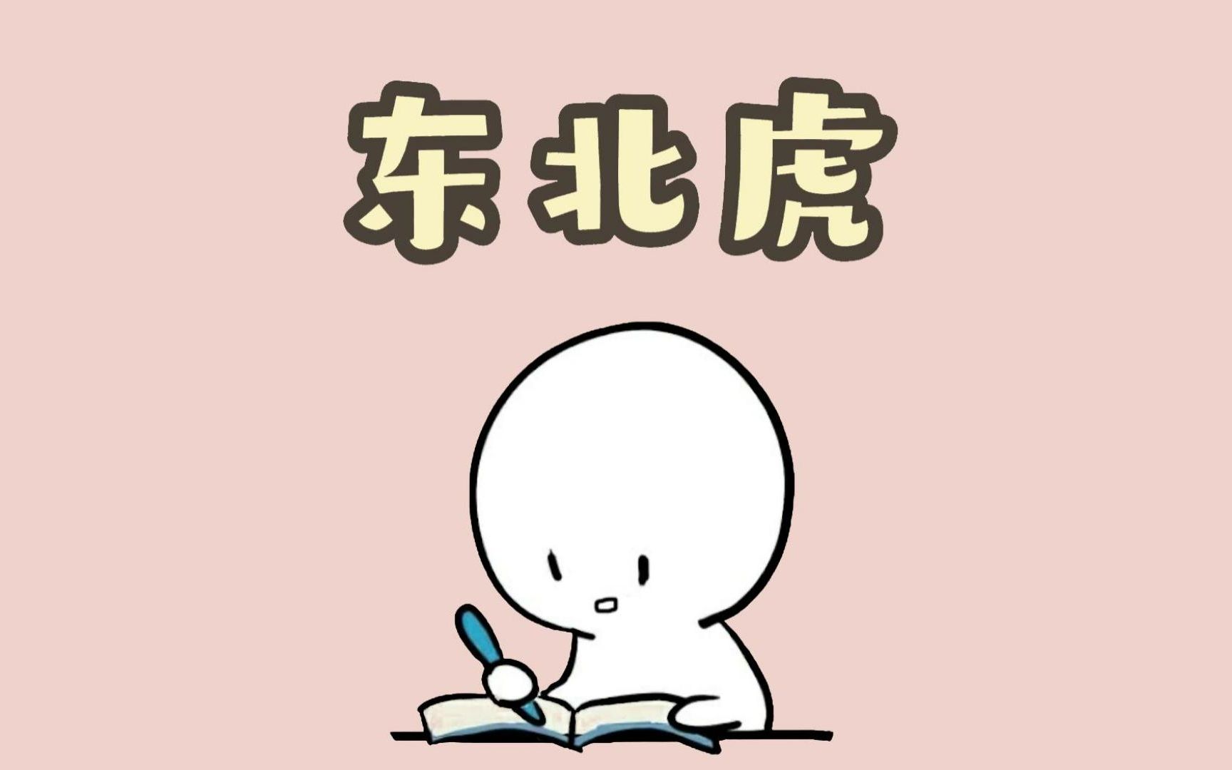 东北虎=西伯利亚虎哔哩哔哩bilibili