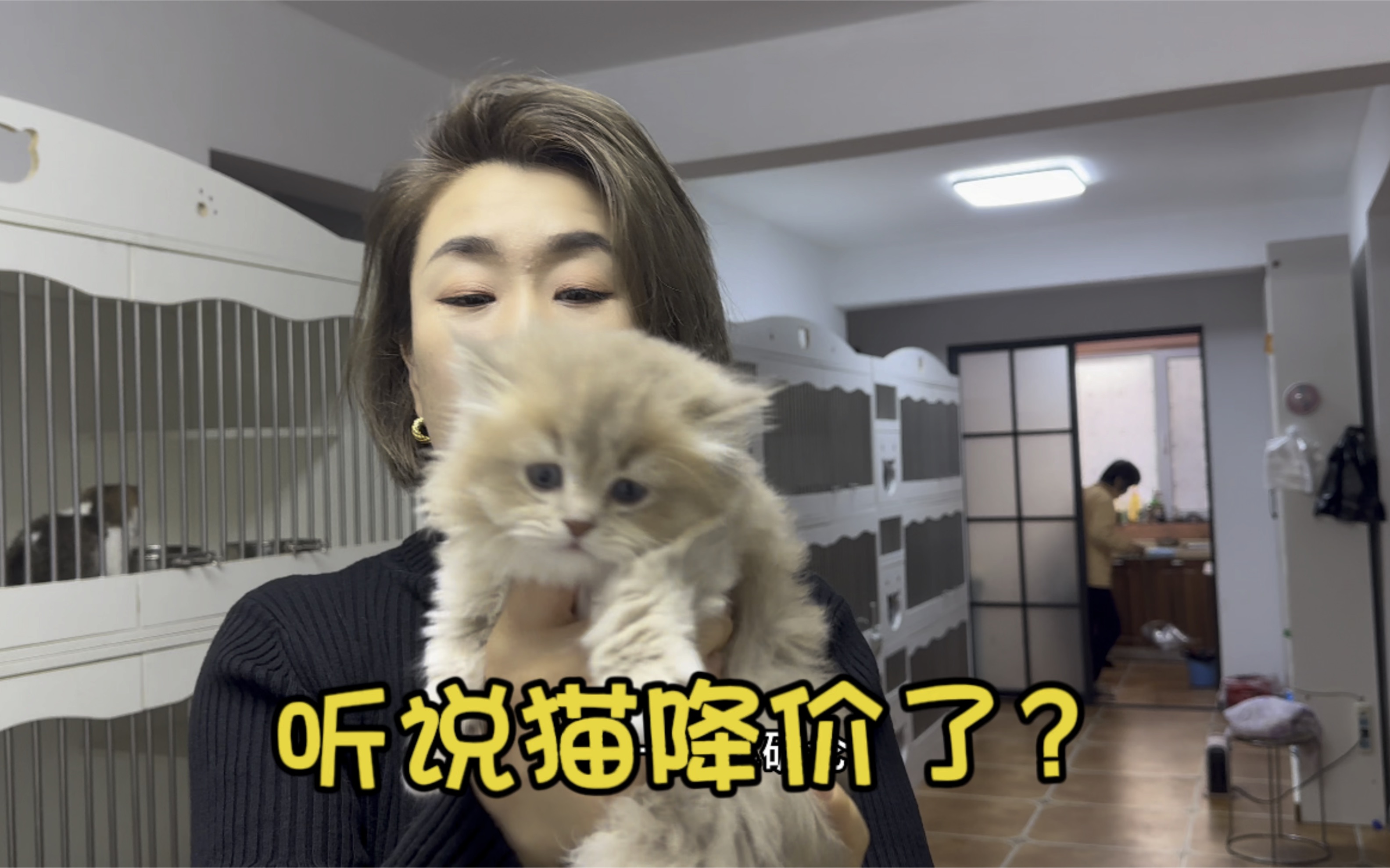 听说猫行降价了?哔哩哔哩bilibili