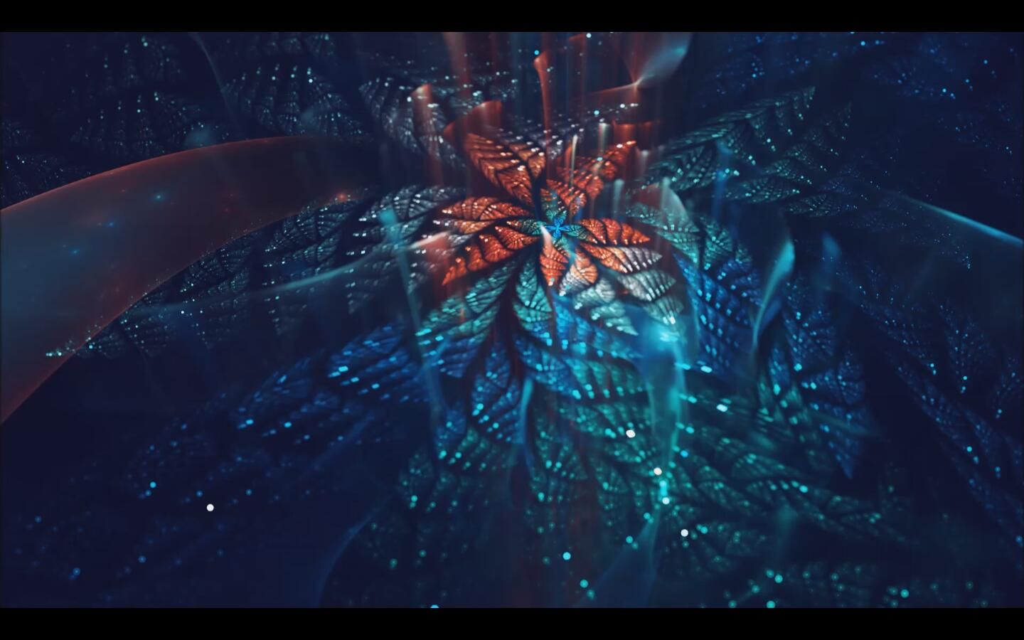 【脆球】宇宙之花(宇宙の花)