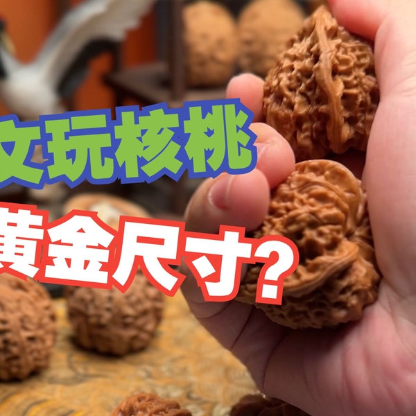 没遇见喜欢的文玩核桃？了解一下野生小众吧- 知乎