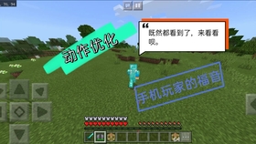 Minecraft国际版1 16血量显示 不是标题党 哔哩哔哩 つロ干杯 Bilibili