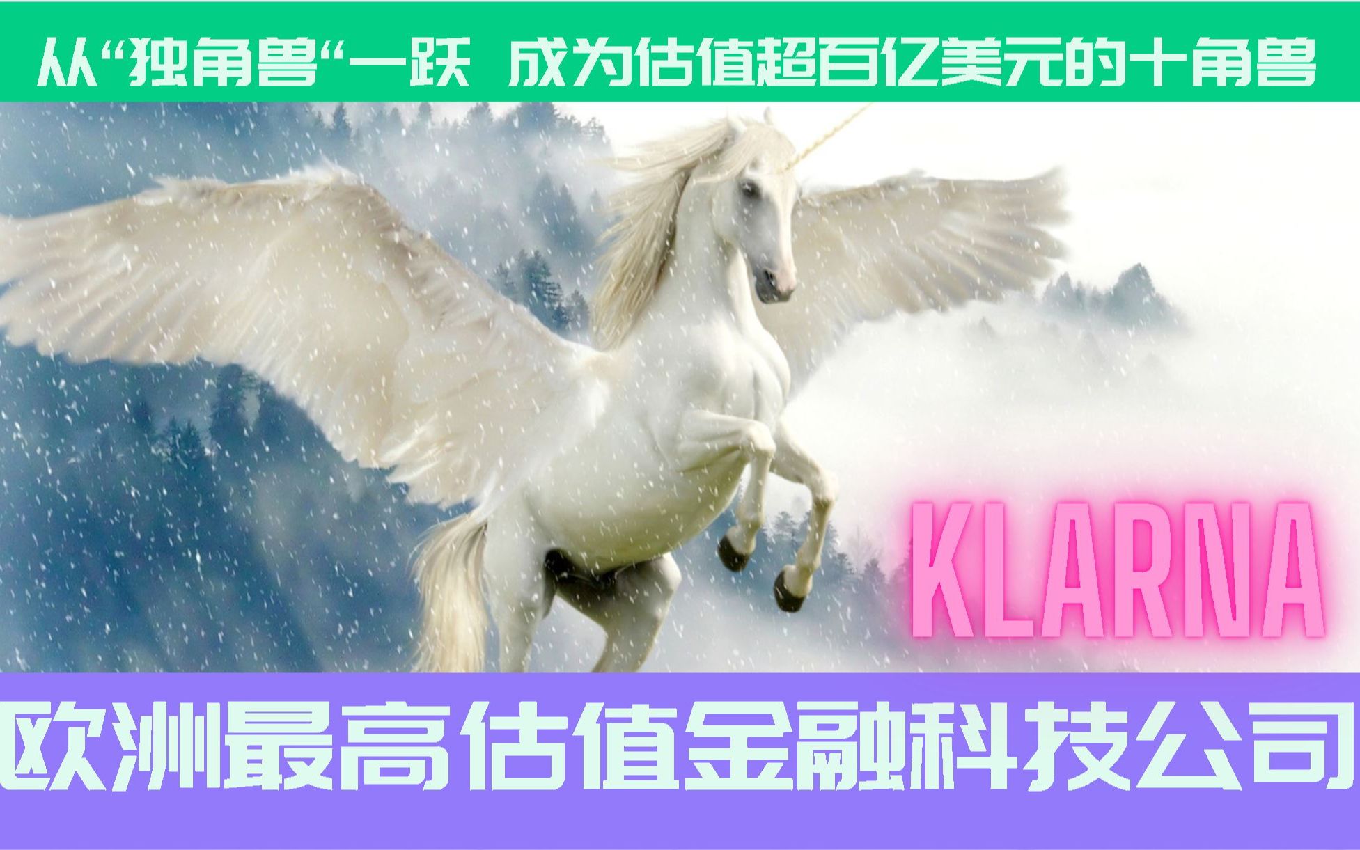 欧洲最高估值金融科技企业——Klarna “团伙”来了哔哩哔哩bilibili