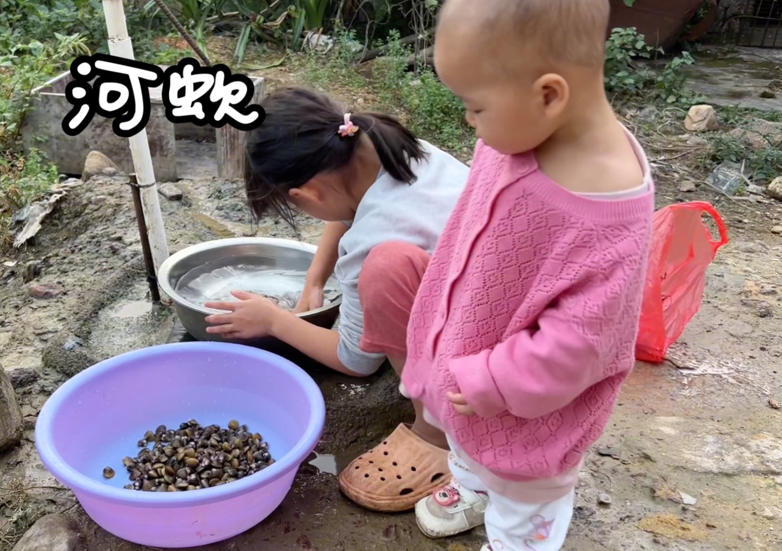 冬天天黑得快,晚餐煮了河蚬芥菜汤清甜可口,大人小孩子都爱吃哔哩哔哩bilibili