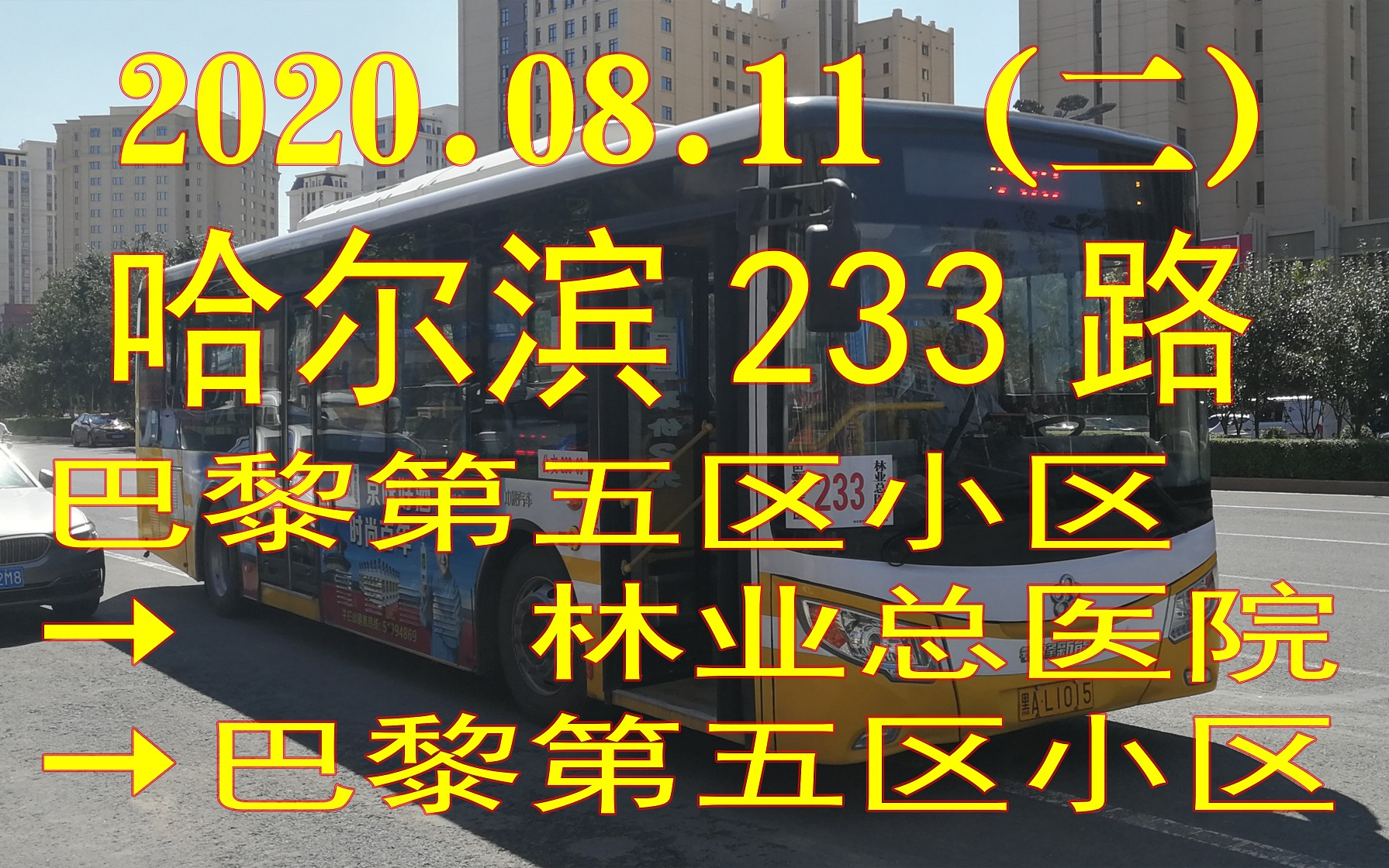 [2020.08.11(二)]哈尔滨233路POV(巴黎第五区小区→林业总医院→巴黎第五区小区)哔哩哔哩bilibili