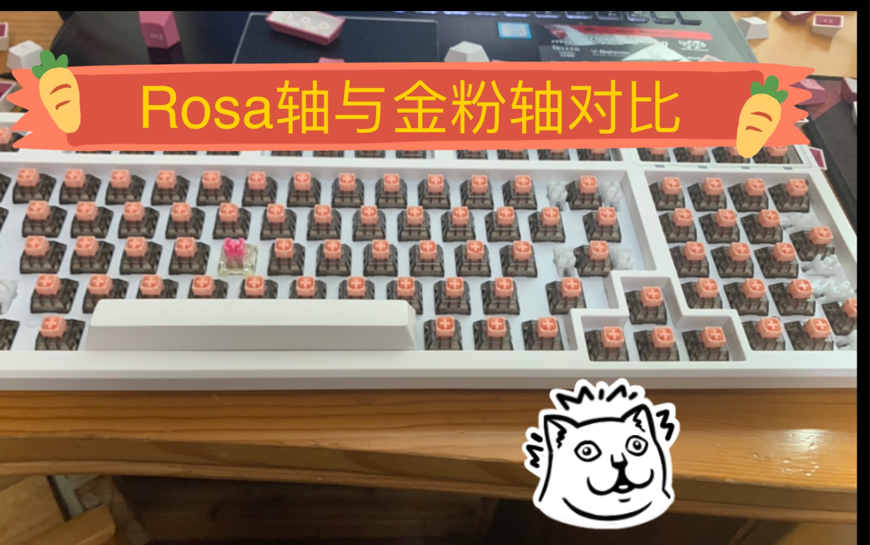 【Rosa轴与金粉轴对比】回弹打字对比 金粉yyds!哔哩哔哩bilibili