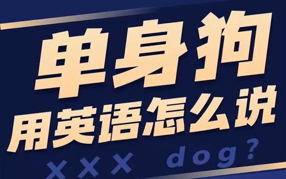 ＂单身狗＂用英语怎么说?＂CP＂又是什么意思?——文都陈正康哔哩哔哩bilibili