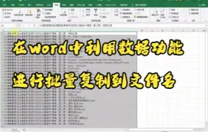 Download Video: 【Word技巧】在word中利用数据功能进行批量复制到文件名