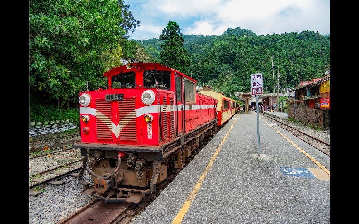 [图]台灣｜阿里山森林小火車_全記錄