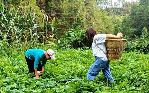 回到农村这四年没有一分钱的经济来源,现在跟婆婆两个人决定转型卖菜了哔哩哔哩bilibili