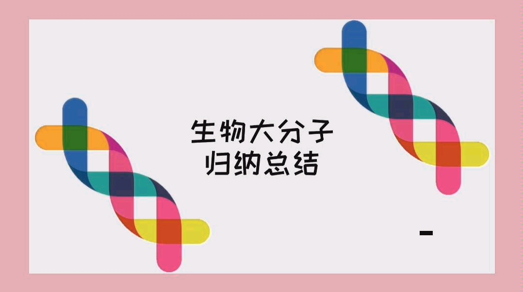 【科普】+生物大分子归纳总结+豆豆讲生物哔哩哔哩bilibili