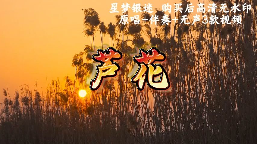 歌曲芦花原唱(歌曲芦花原唱的歌词歌谱)