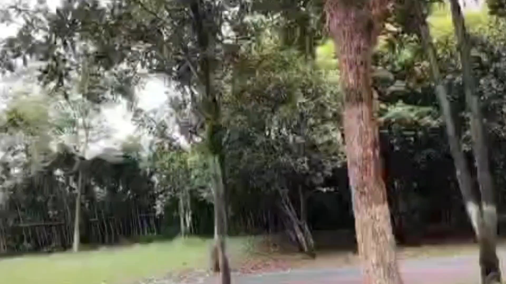 萍乡市滨湖新区明月大道北路延伸至萍乡迎宾馆