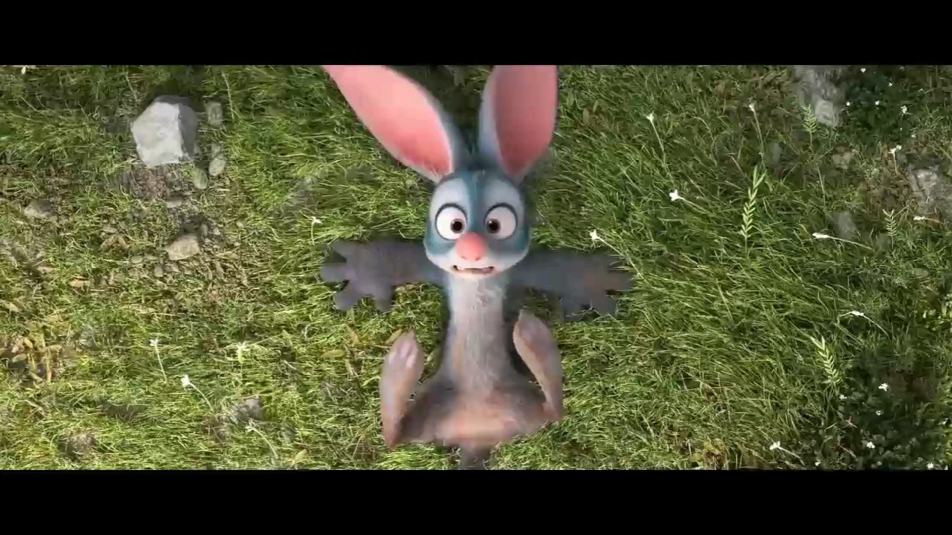 《bilby》兔耳袋狸,不离不弃保护你!