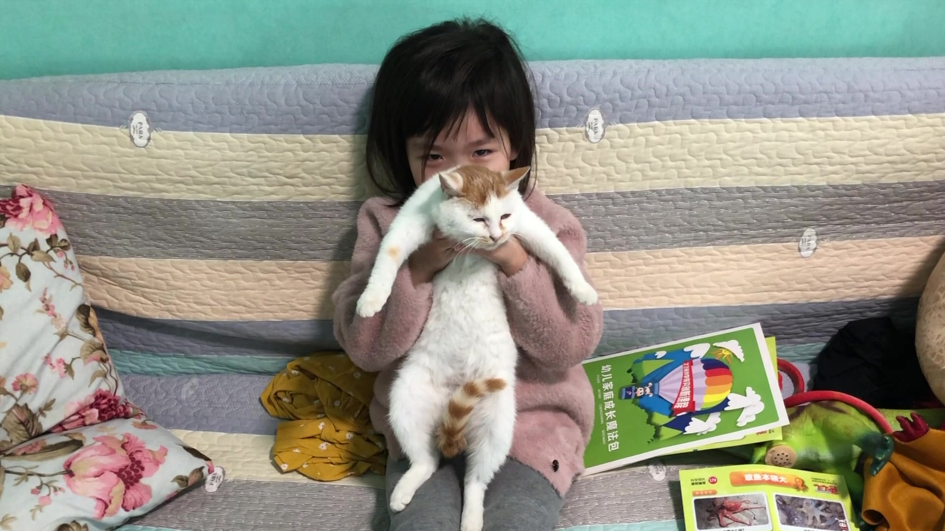 领养一只小猫咪陪伴儿童必须要经历的事情