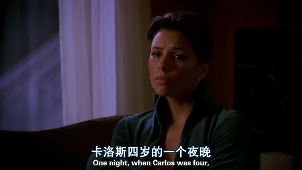 绝望的主妇: 5集下  扎克告诉她他知道玛丽自杀的原因.