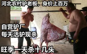 Télécharger la video: 河北大哥卖全驴，别人65他只55，早晚各一头从不预定，想吃趁早来