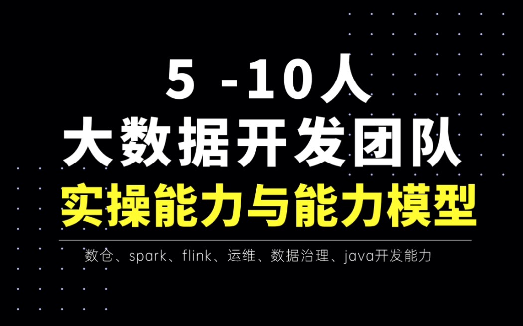 510人大数据开发团队实操能力与能力模型盘点!哔哩哔哩bilibili