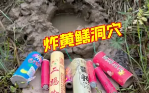 Video herunterladen: 炸黄鳝洞穴：一次神秘的探险，让我发现了黄鳝的秘密基地！