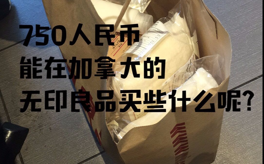 【购物分享】750RMB能在加拿大的MUJI买些什么?MUJI.ca有哪些值得购入的小物哔哩哔哩bilibili