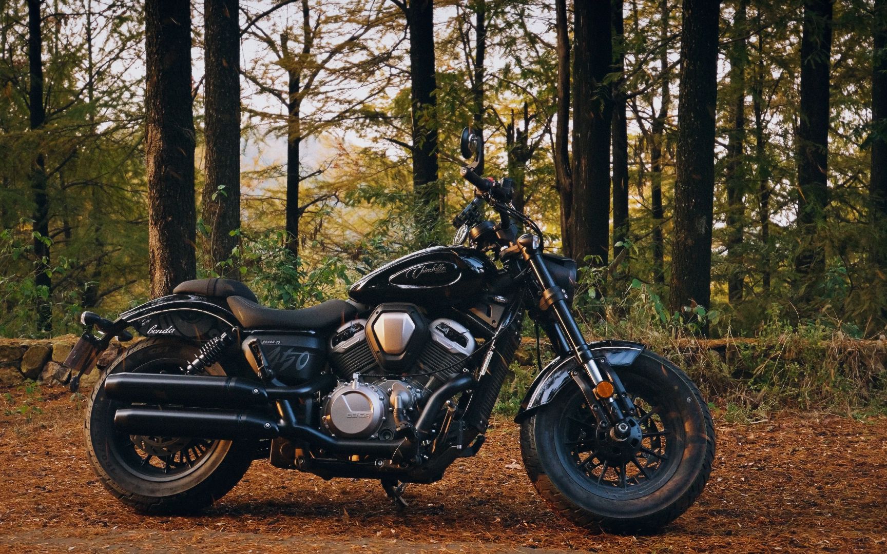 金吉拉450,一叶知秋也能遇见好风景