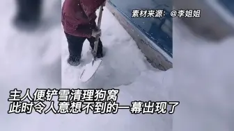 Tải video: 河北大雪过后狗窝被埋主人铲雪“救”狗后笑疯：狗在盆在