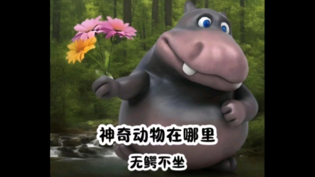 神奇动物在哪里-无鳄不坐