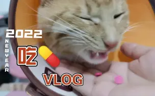 Download Video: 橘猫吃药能有多简单！