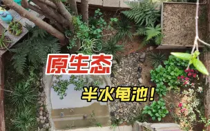 Download Video: 给大家详细介绍一下我新搭建的原生态黄缘环境