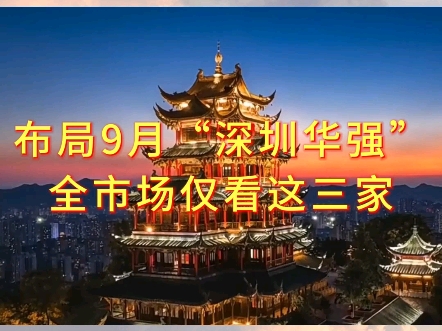 布局9月“深圳华强”全市场仅看这三家哔哩哔哩bilibili