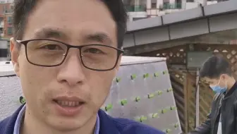 气雾栽培，种菜不弯腰。