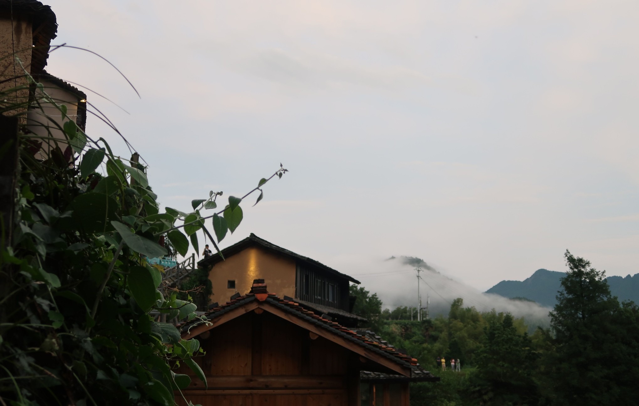 vlog15松阳飞茑集先锋书店陈家铺村丽水旅行民宿农家乐