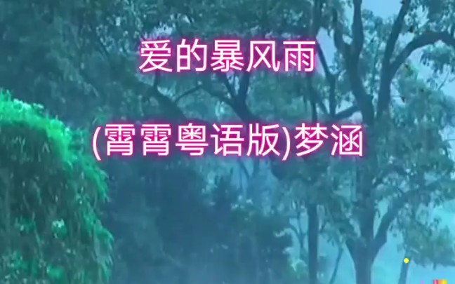 [图]爱的暴风雨(粤语版)梦涵