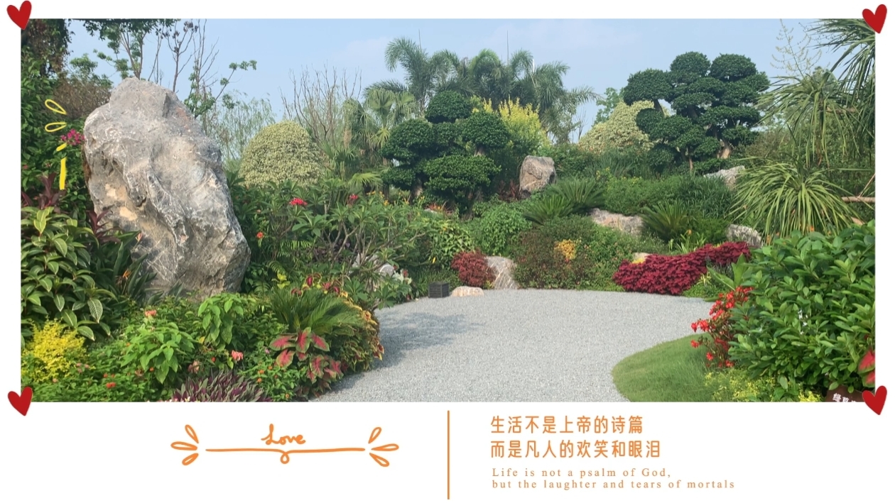 广东园 #花博会 #魔都 #上海 #崇明岛 #上海花博会