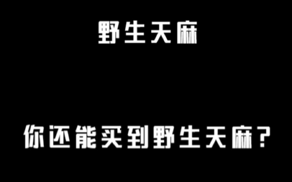 野生天麻的骗局:你还能买到野生天麻吗?哔哩哔哩bilibili