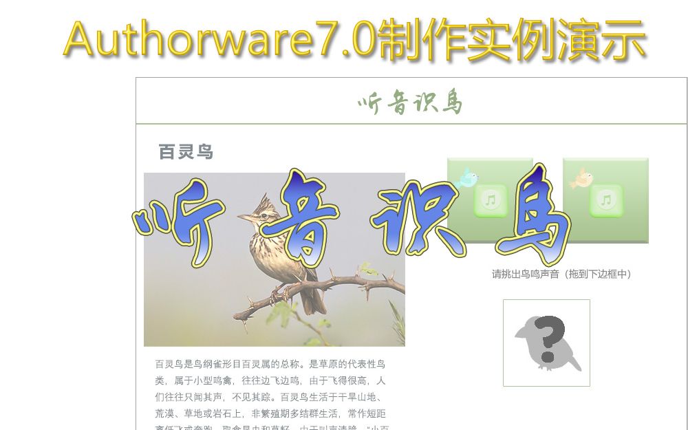 Authorware实例制作:听音识鸟哔哩哔哩bilibili