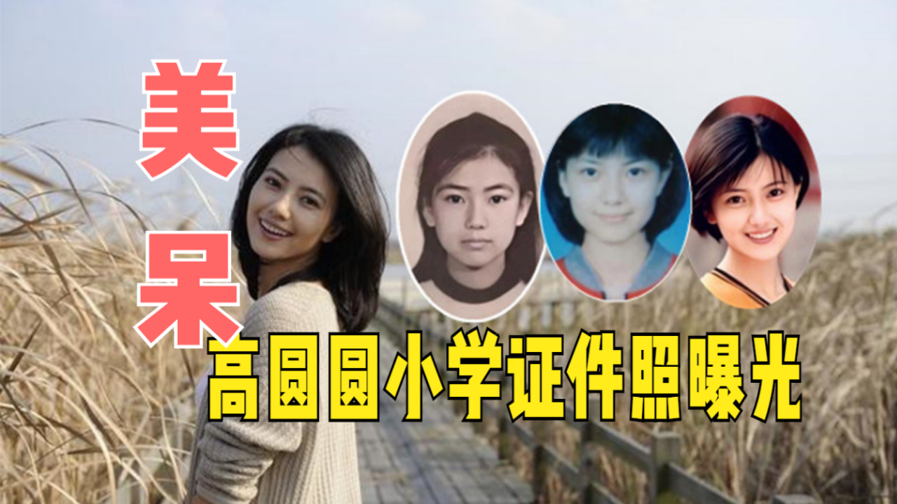 高圆圆小学证件照曝光,杏眼浓眉气质惊人,嫁贴心老公很受宠