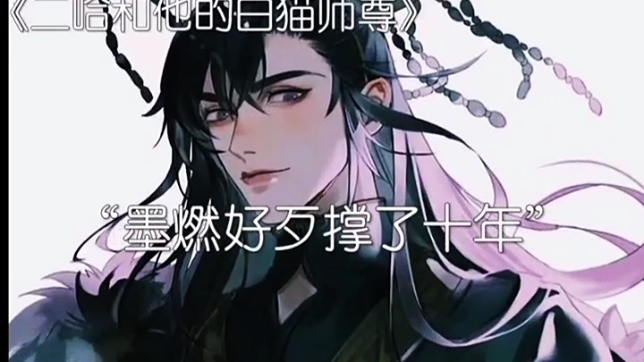 二哈和他的白猫师尊 楚晚宁踏仙帝君墨燃墨微雨哔哩哔哩bilibili