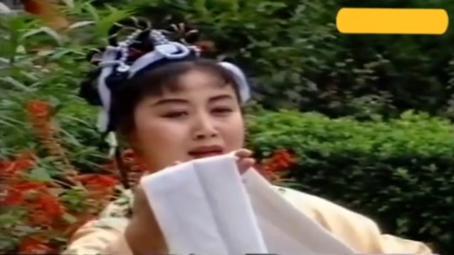 秦腔 《法门寺》 宋巧娇告状选段 (卡拉0k ) 导唱:丁小玲 (陕西文化