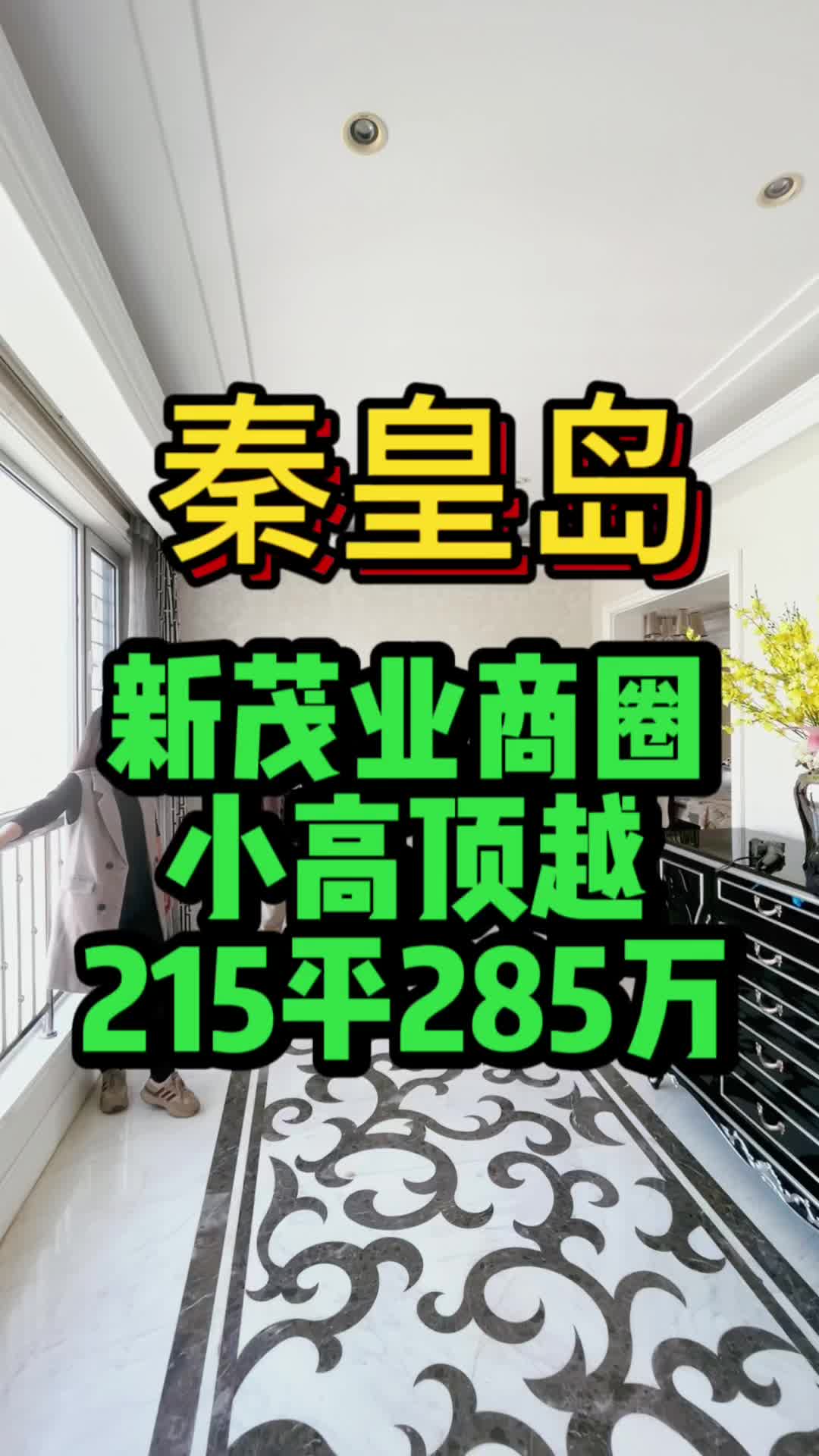 秦皇岛新茂业商圈小高顶越215平285万哔哩哔哩bilibili