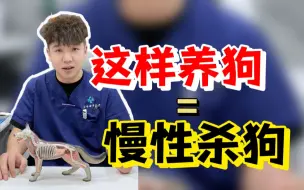 Download Video: 你这样养狗=慢性杀狗！