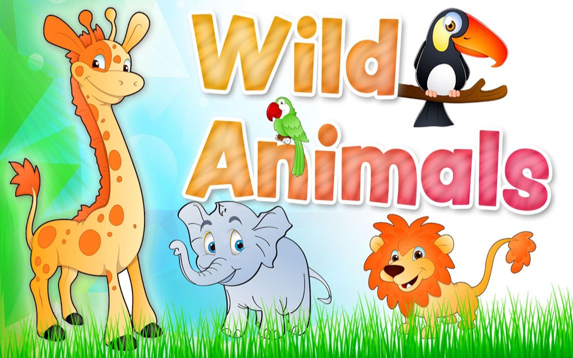 Wild animals english vocabulary 野生动物英语发音哔哩哔哩bilibili