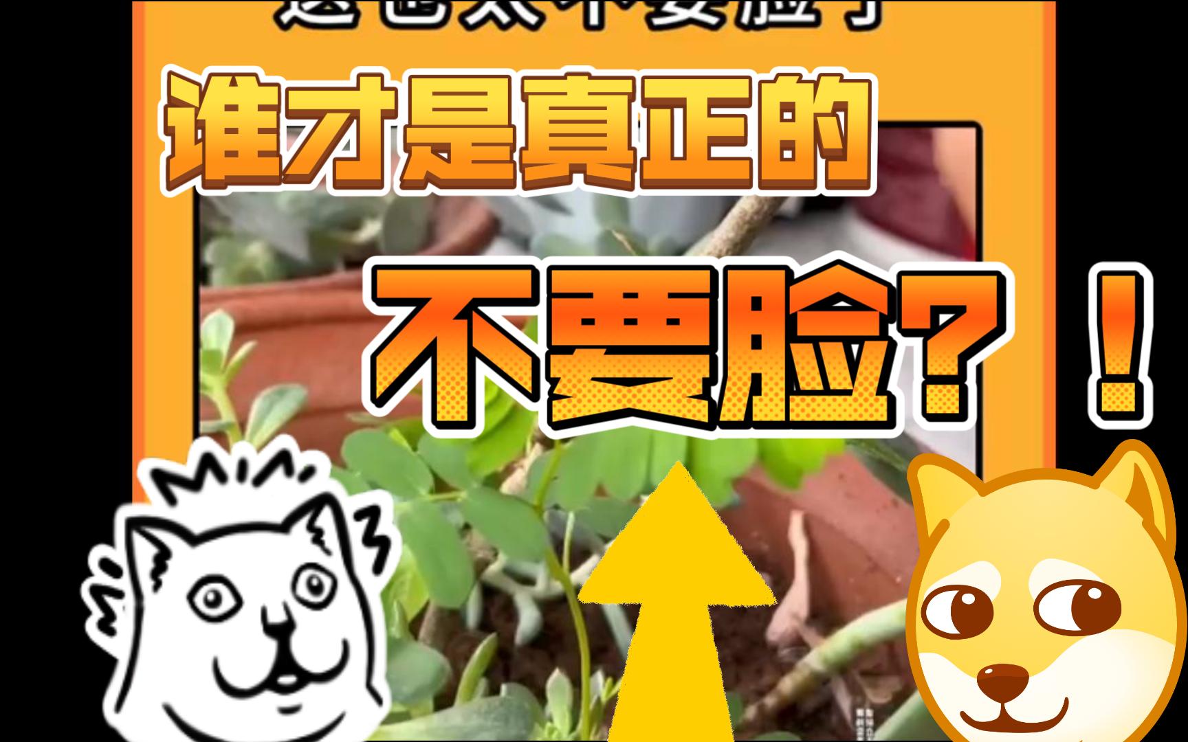 【开心每一天】你觉得谁才是真的不要脸?哔哩哔哩bilibili